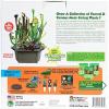Carnivorous Creations – Ferociously Cool Meat-Eating Plants Office & Desk Toys for Ages 4 to 10